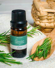 Cargar imagen en el visor de la galería, Frasco Aceite Esencial Romero 10ml