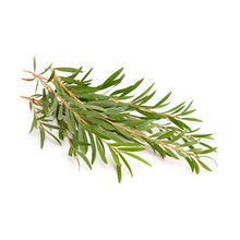 Cargar imagen en el visor de la galería, Ramo de planta Tea Tree